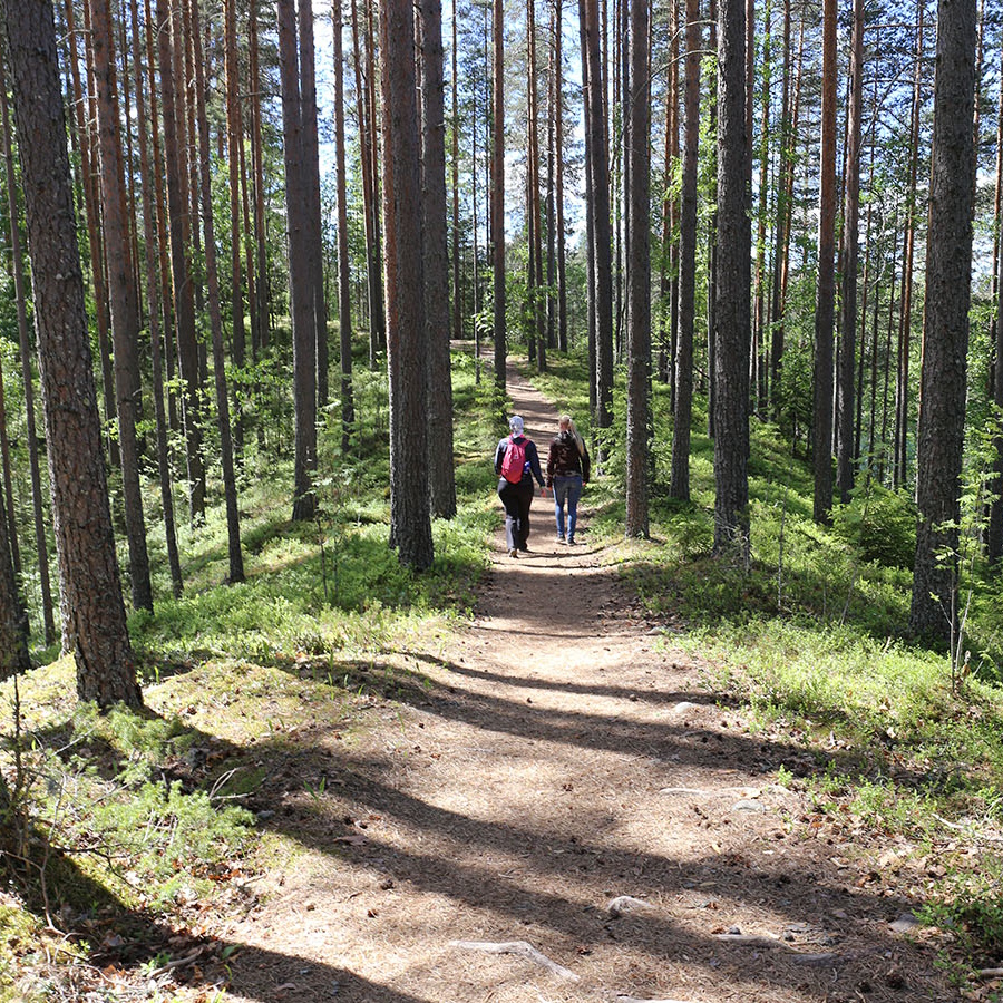 Kaksi retkeilijää kävelee metsäpolkua.